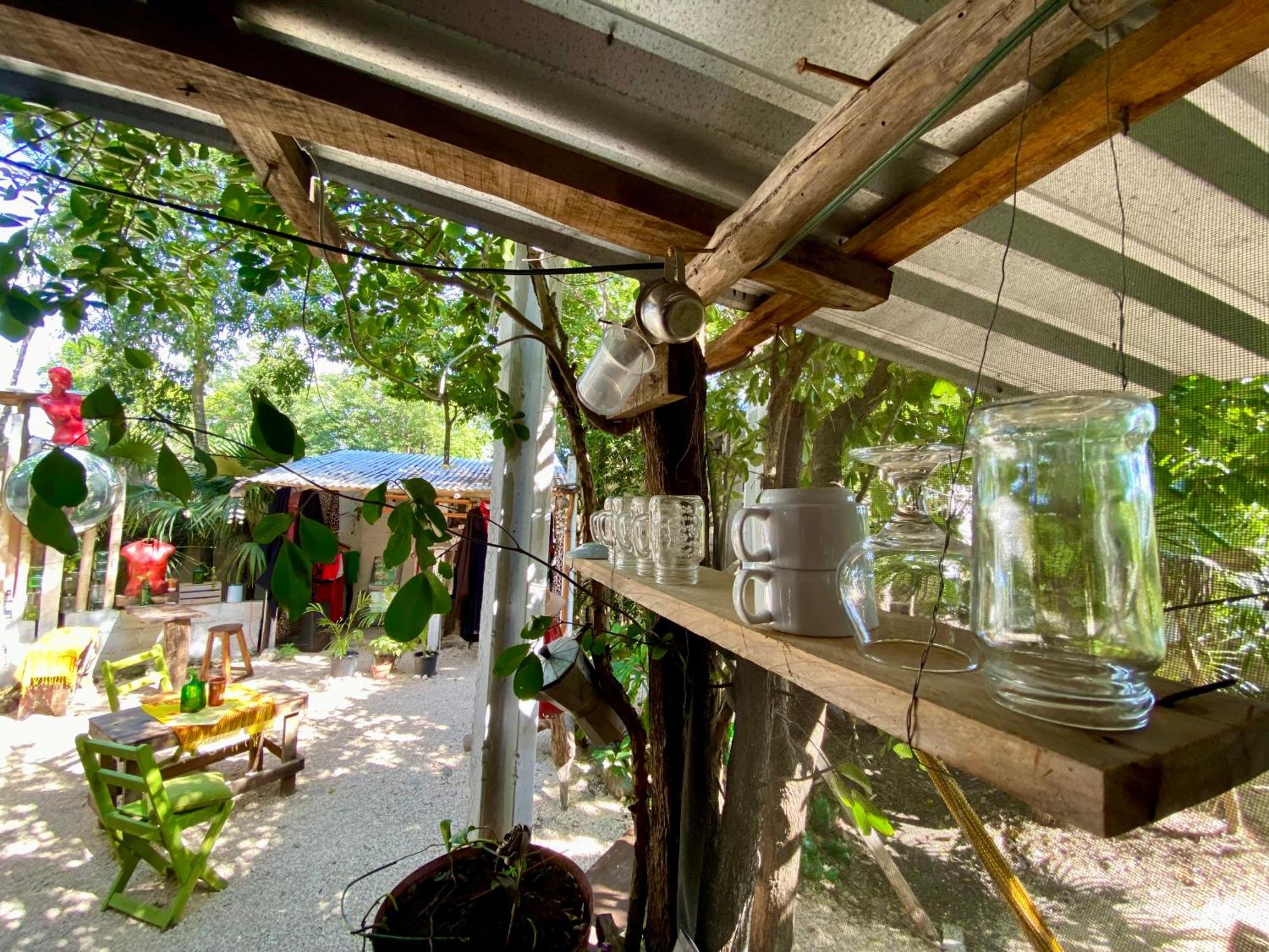 Casa Kuma *